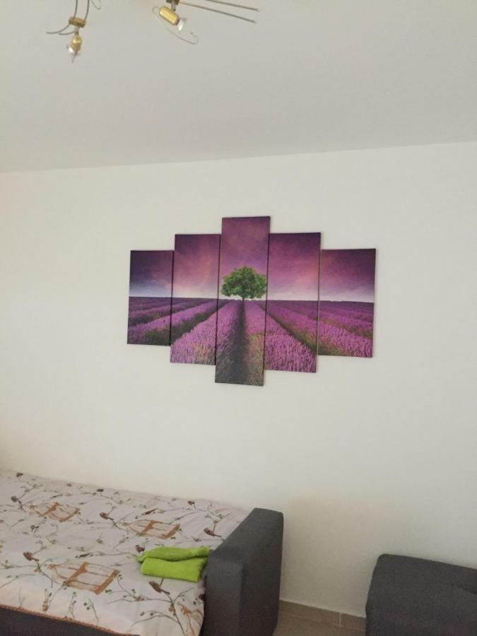 Apartment Brno Πούλα Εξωτερικό φωτογραφία